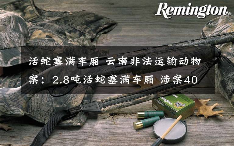 活蛇塞满车厢 云南非法运输动物案：2.8吨活蛇塞满车厢 涉案40余万元