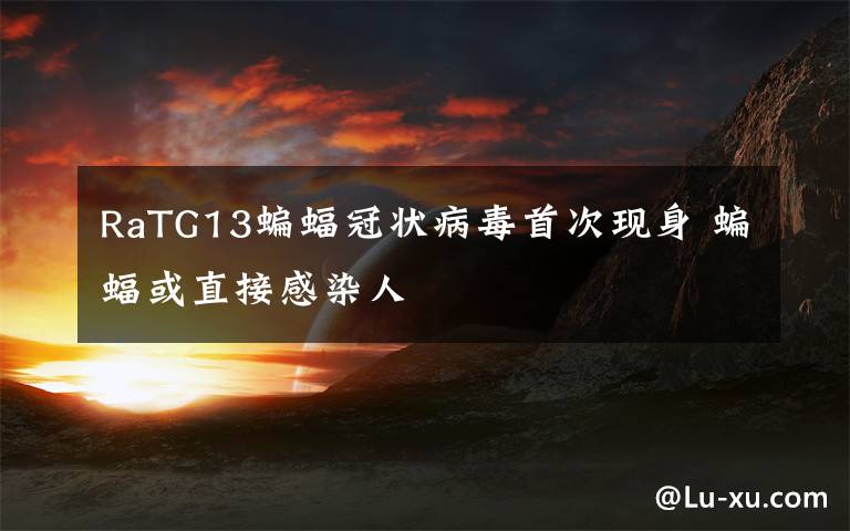 RaTG13蝙蝠冠状病毒首次现身 蝙蝠或直接感染人