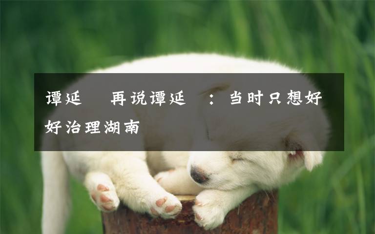 谭延闿 再说谭延闿:当时只想好好治理湖南