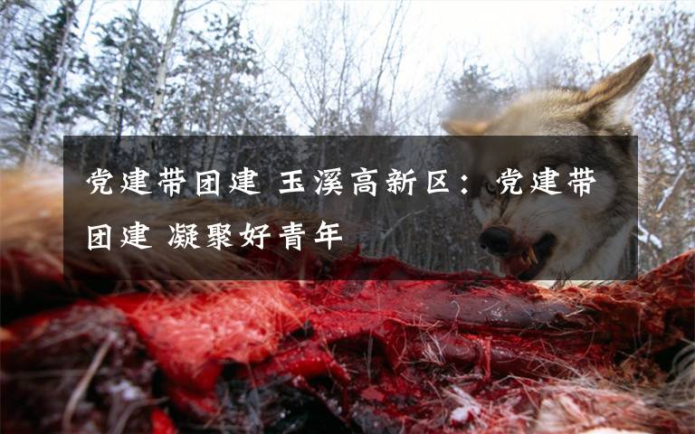 党建带团建 玉溪高新区：党建带团建 凝聚好青年