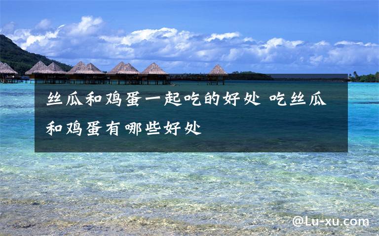 丝瓜和鸡蛋一起吃的好处 吃丝瓜和鸡蛋有哪些好处