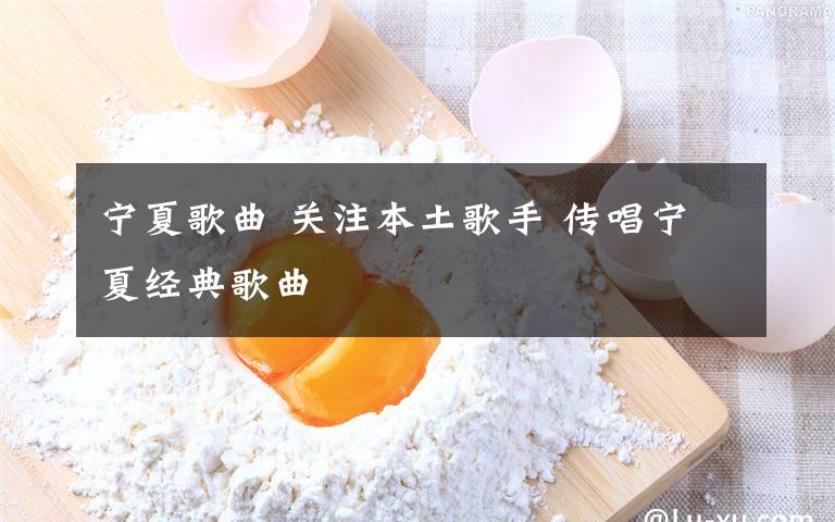 宁夏歌曲 关注本土歌手 传唱宁夏经典歌曲