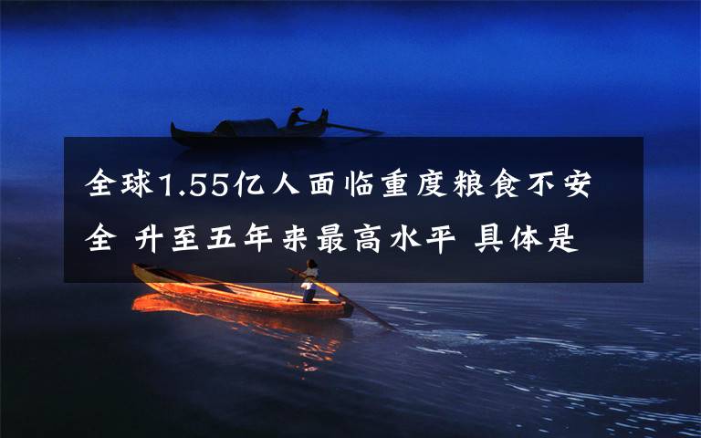 全球1.55亿人面临重度粮食不安全 升至五年来最高水平 具体是什么情况?