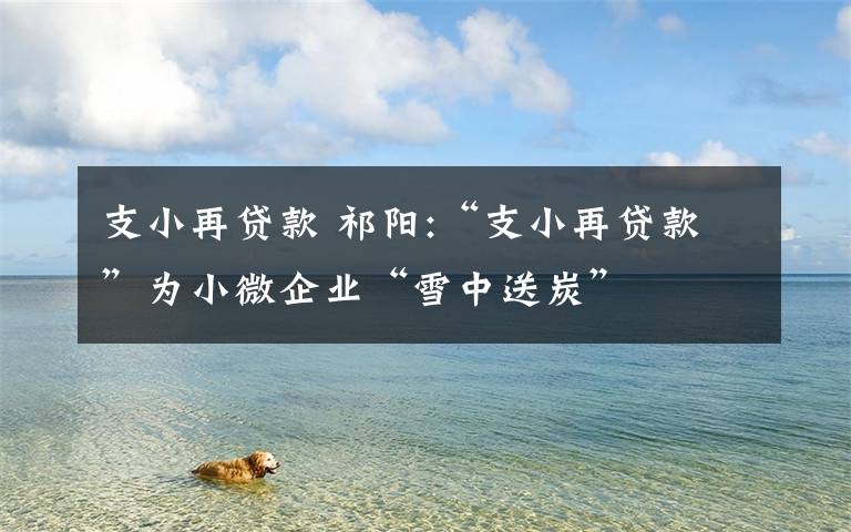 支小再贷款 祁阳:“支小再贷款”为小微企业“雪中送炭”