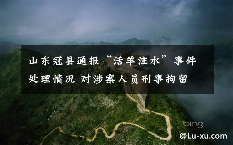 山东冠县通报“活羊注水”事件处理情况 对涉案人员刑事拘留 目前是什么情况?