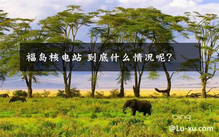 福岛核电站 到底什么情况呢?