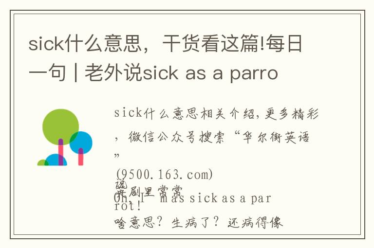 sick什么意思,干货看这篇!每日一句 | 老外说sick as a parrot什么意思?病得像只鹦鹉?
