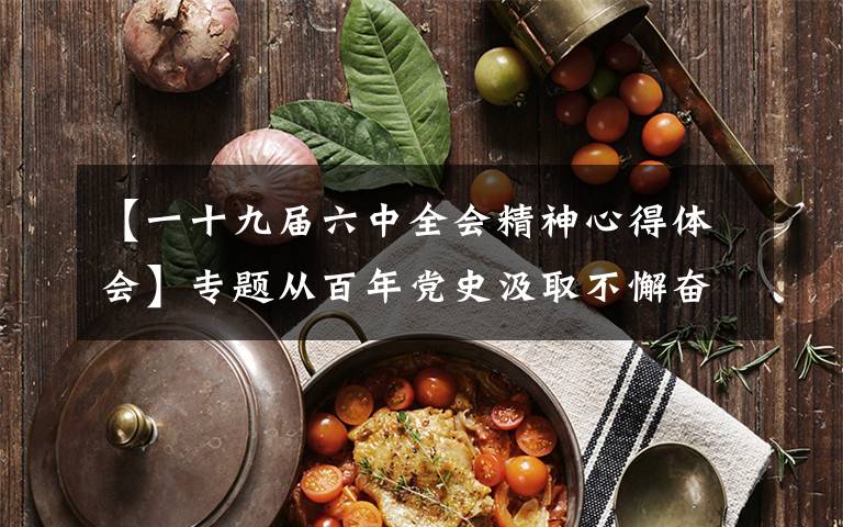 【一十九届六中全会精神心得体会】专题从百年党史汲取不懈奋斗的力量——与会同志谈党的十九届六中全会精神