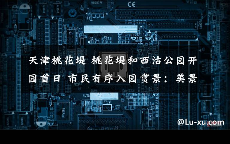 天津桃花堤 桃花堤和西沽公园开园首日 市民有序入园赏景:美景与安全 一个都不能少