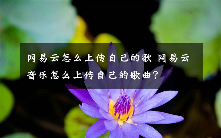 网易云怎么上传自己的歌 网易云音乐怎么上传自己的歌曲?