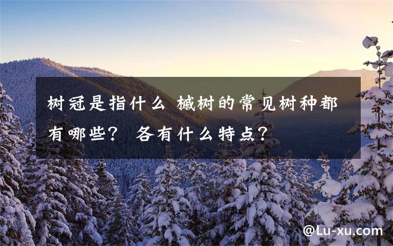 树冠是指什么 槭树的常见树种都有哪些? 各有什么特点?