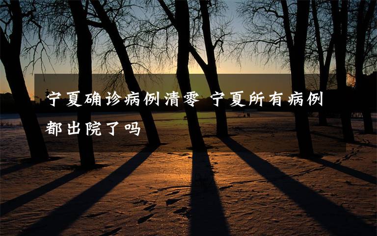 宁夏确诊病例清零 宁夏所有病例都出院了吗