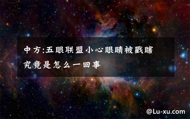 中方:五眼联盟小心眼睛被戳瞎 究竟是怎么一回事