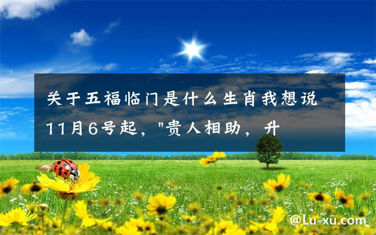 关于五福临门是什么生肖我想说11月6号起,"贵人相助,升官发财",五福临门的三大生肖,还有谁