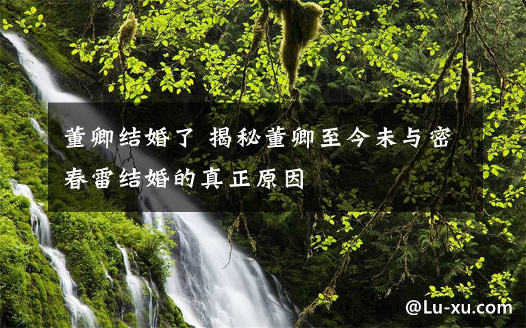 董卿结婚了 揭秘董卿至今未与密春雷结婚的真正原因