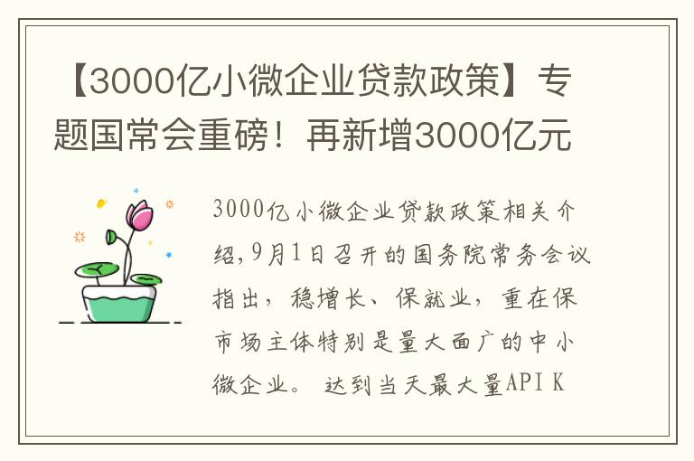 【3000亿小微企业贷款政策】专题国常会重磅!再新增3000亿元支小再贷款额度,发挥专项债作用带动扩大有效投资