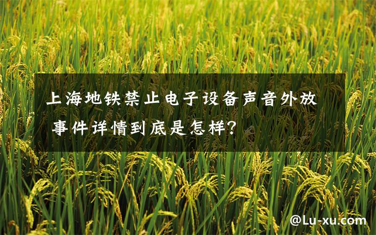 上海地铁禁止电子设备声音外放 事件详情到底是怎样？