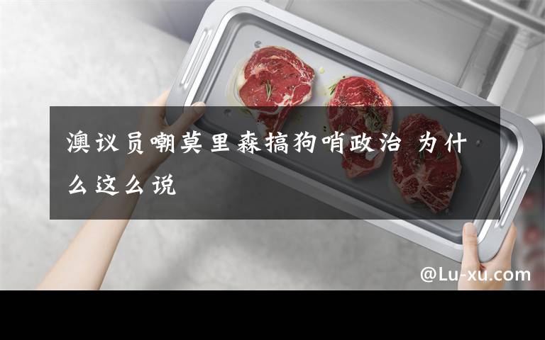 澳议员嘲莫里森搞狗哨政治 为什么这么说