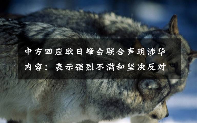 中方回应欧日峰会联合声明涉华内容：表示强烈不满和坚决反对 事情的详情始末是怎么样了！