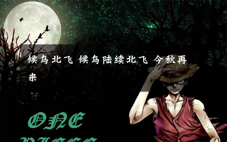 候鸟北飞 候鸟陆续北飞 今秋再来