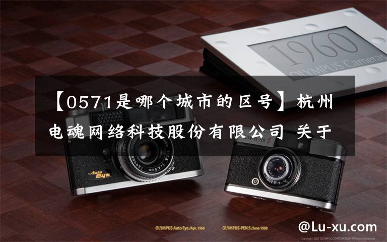 【0571是哪个城市的区号】杭州电魂网络科技股份有限公司 关于2019年限制性股票激励计划首次 授予部分第二个解除限售期解除限售条件成就的公告