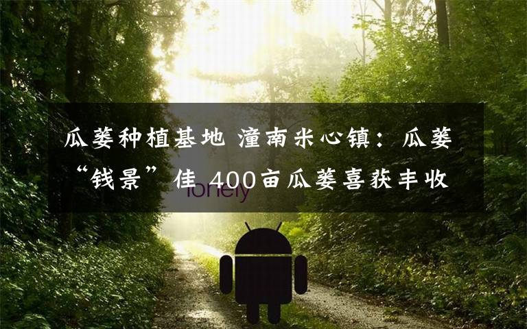 瓜蒌种植基地 潼南米心镇:瓜蒌“钱景”佳 400亩瓜蒌喜获丰收