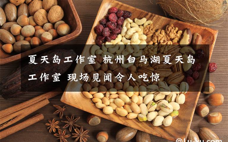 夏天岛工作室 杭州白马湖夏天岛工作室 现场见闻令人吃惊