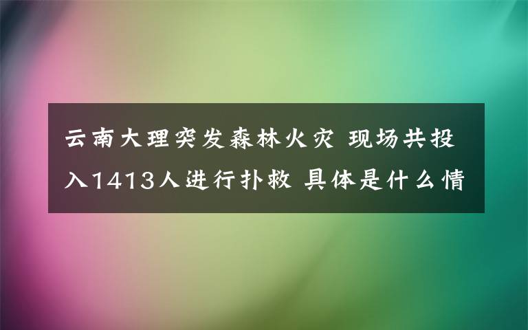 云南大理突发森林火灾 现场共投入1413人进行扑救 具体是什么情况?