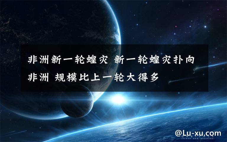 非洲新一轮蝗灾 新一轮蝗灾扑向非洲 规模比上一轮大得多