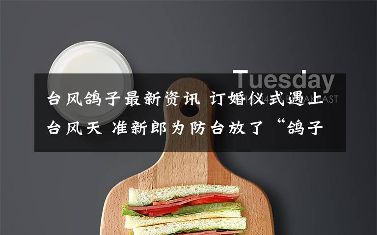 台风鸽子最新资讯 订婚仪式遇上台风天 准新郎为防台放了“鸽子”