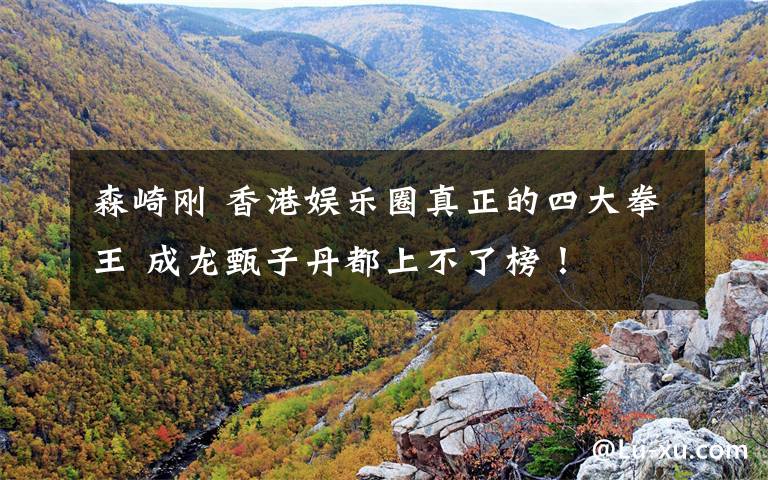 森崎刚 香港娱乐圈真正的四大拳王 成龙甄子丹都上不了榜!