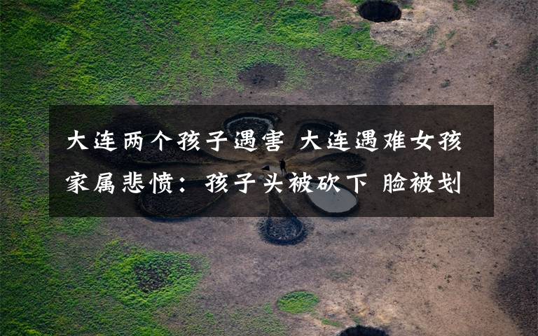 大连两个孩子遇害 大连遇难女孩家属悲愤:孩子头被砍下 脸被划烂浑身血