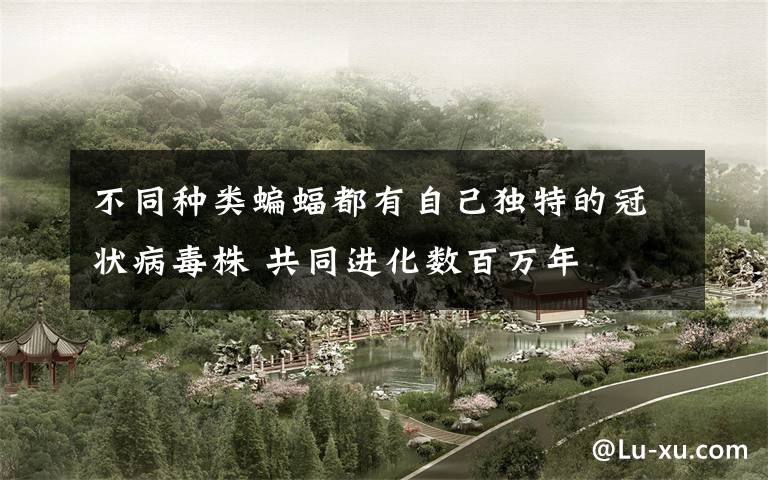 不同种类蝙蝠都有自己独特的冠状病毒株 共同进化数百万年