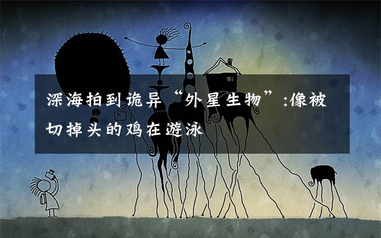 深海拍到诡异“外星生物”:像被切掉头的鸡在游泳