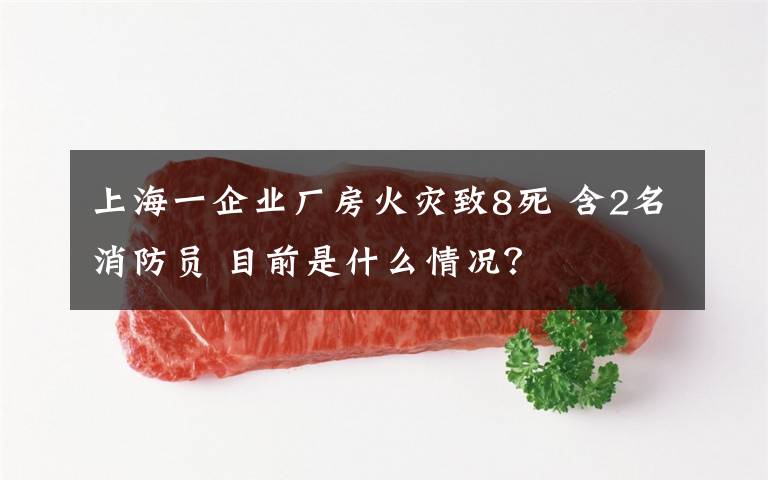 上海一企业厂房火灾致8死 含2名消防员 目前是什么情况?