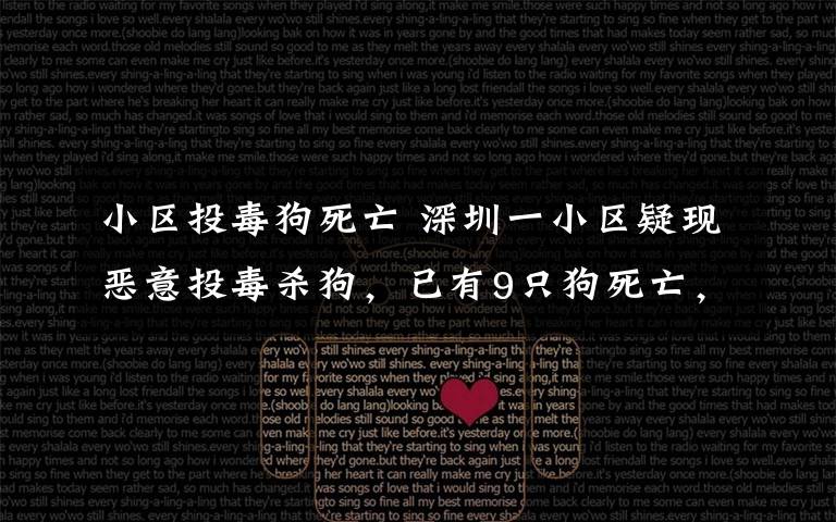 小区投毒狗死亡 深圳一小区疑现恶意投毒杀狗,已有9只狗死亡,主人躺地痛哭