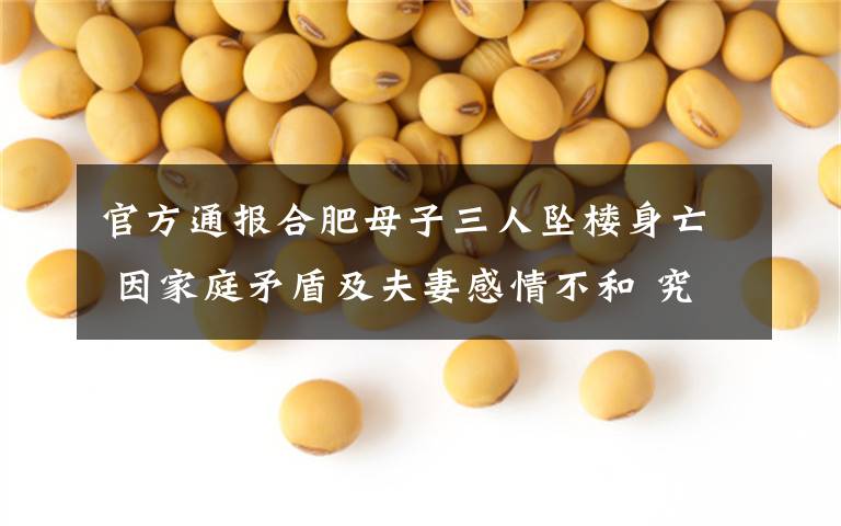 官方通报合肥母子三人坠楼身亡 因家庭矛盾及夫妻感情不和 究竟是怎么一回事?