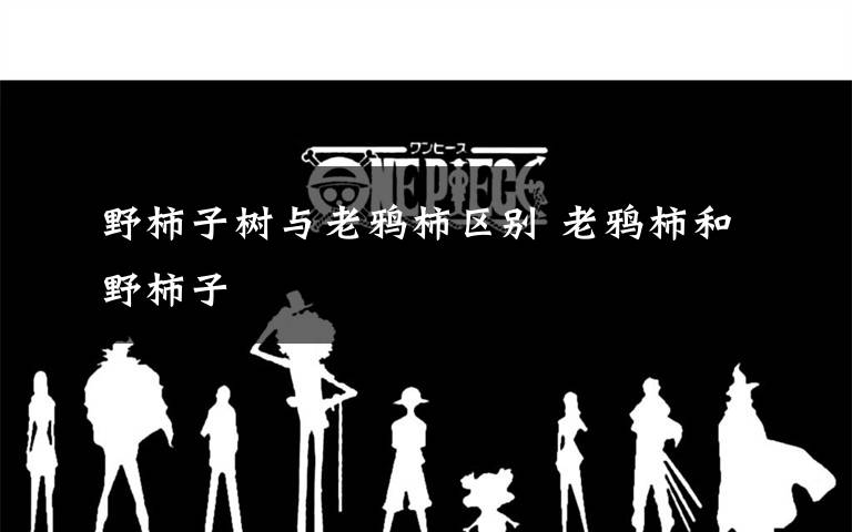 野柿子树与老鸦柿区别 老鸦柿和野柿子