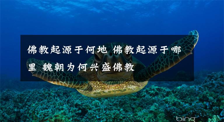 佛教起源于何地 佛教起源于哪里 魏朝为何兴盛佛教