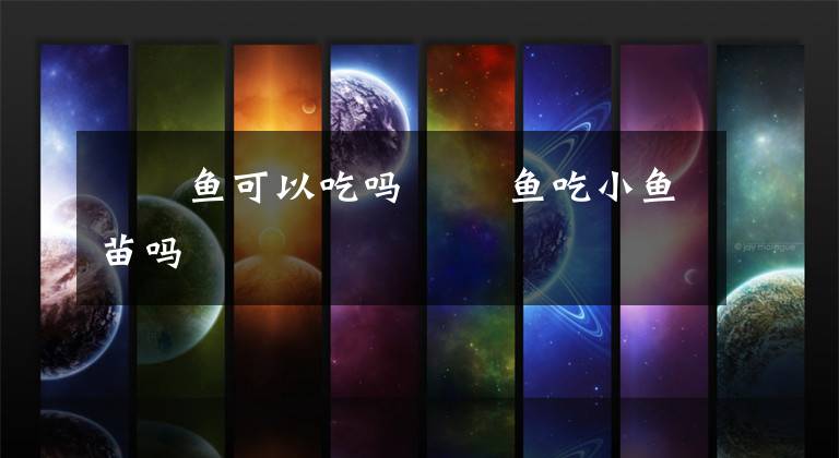 鳑鲏鱼可以吃吗 鳑鲏鱼吃小鱼苗吗