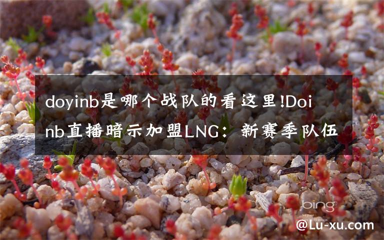 doyinb是哪个战队的看这里!Doinb直播暗示加盟LNG:新赛季队伍已定,就是大家猜到的