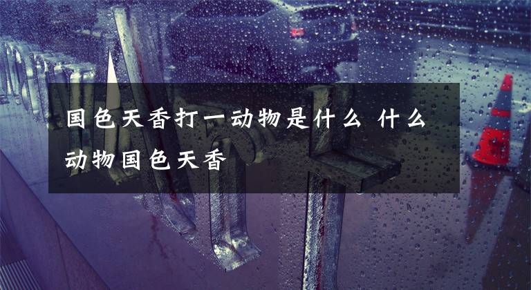 国色天香打一动物是什么 什么动物国色天香