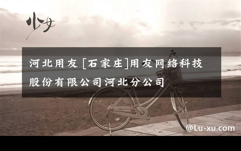 河北用友 [石家庄]用友网络科技股份有限公司河北分公司