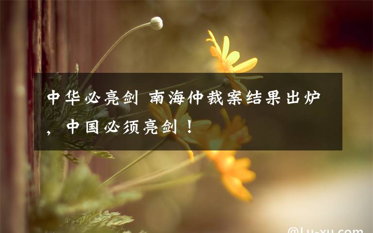 中华必亮剑 南海仲裁案结果出炉,中国必须亮剑!