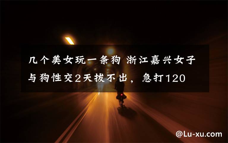 几个美女玩一条狗 浙江嘉兴女子与狗性交2天拔不出，急打120