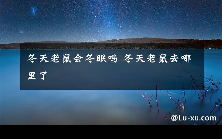 冬天老鼠会冬眠吗 冬天老鼠去哪里了