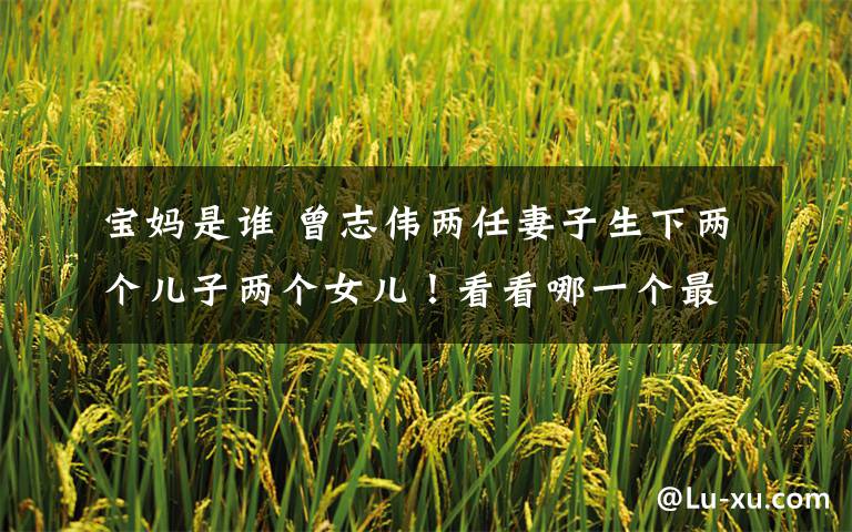 宝妈是谁 曾志伟两任妻子生下两个儿子两个女儿！看看哪一个最像他？