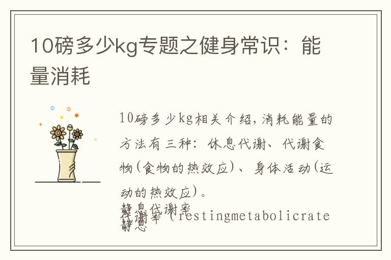 10磅多少kg专题之健身常识:能量消耗