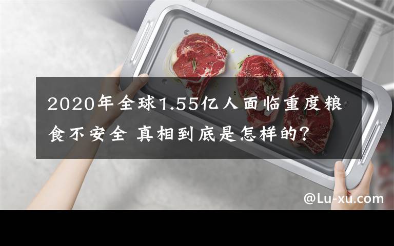 2020年全球1.55亿人面临重度粮食不安全 真相到底是怎样的?