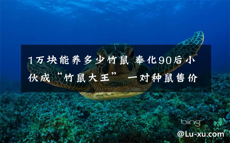 1万块能养多少竹鼠 奉化90后小伙成“竹鼠大王” 一对种鼠售价700元